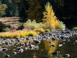 2008Fallcolors-6